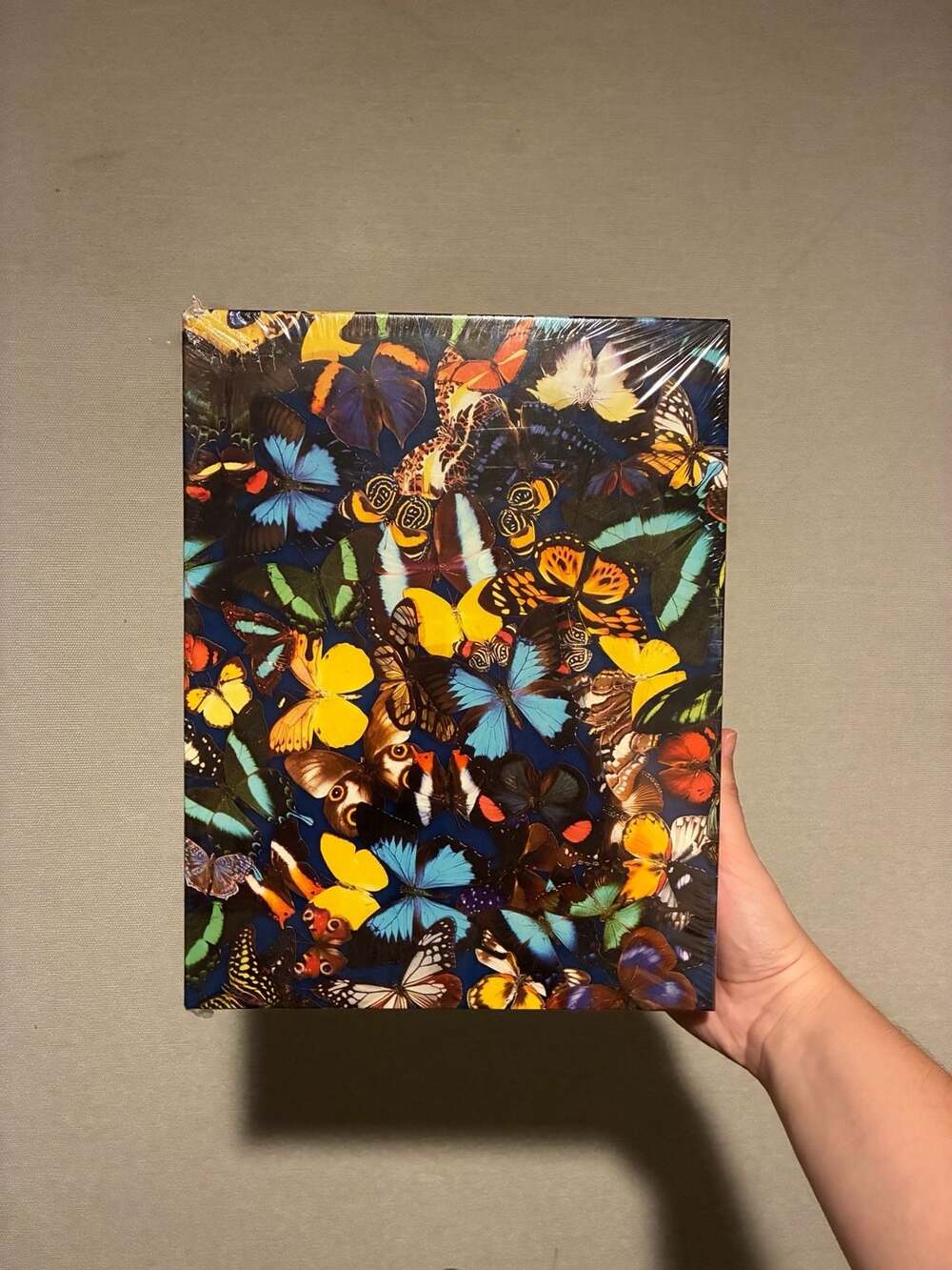 Springbok Butterfly Collection 500 Piece Jigsaw Puzzle